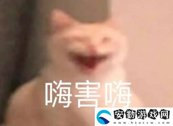 嗨嗨嗨梗的意思介紹