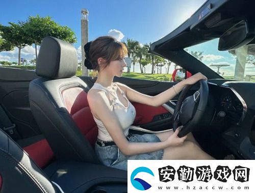 日產(chǎn)MV與歐美MV外觀對比